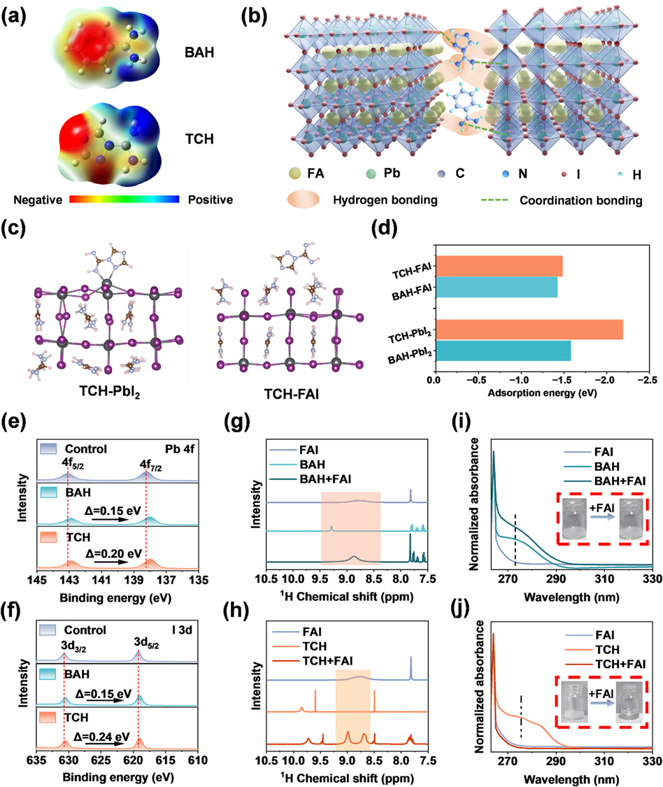 Dual-Functionalized Bonding Management via Aromatic Formamidine Ligands Enables 25.57%-Efficient Ambient-Printed Perovskite Solar Cells