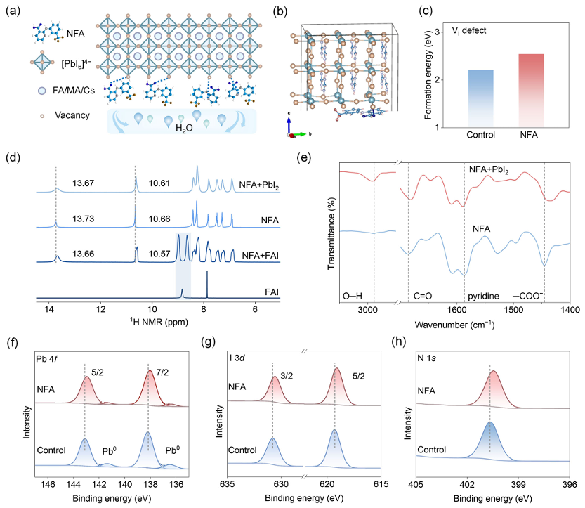 Self-Segregated Buried-Interface Regulation Resolves Kinetic–Environmental Coupling for Ambient Flexible Perovskite Solar Cells