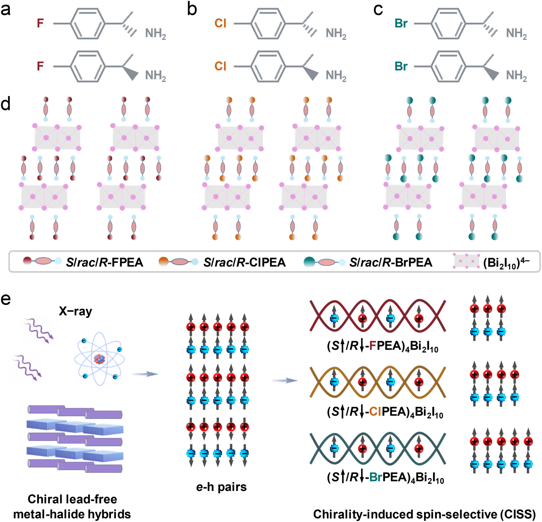 Halogen Substitution as a “Chirality Editor” for Amplifying Spin-Selective Transport in Lead-Free Metal-Halide Hybrids