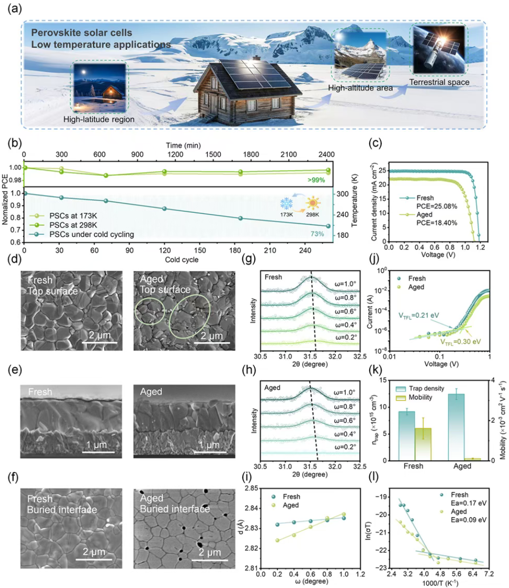 Molecular Buffering Regulates Lattice Strain for Fatigue-Resistant Perovskite Photovoltaics Under Cryogenic Thermal Cycling