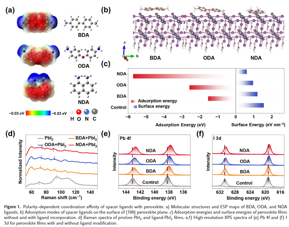 Heterointerface Growth Equilibration Enables High-Efficiency and Mechanically Robust Flexible Perovskite Solar Cells